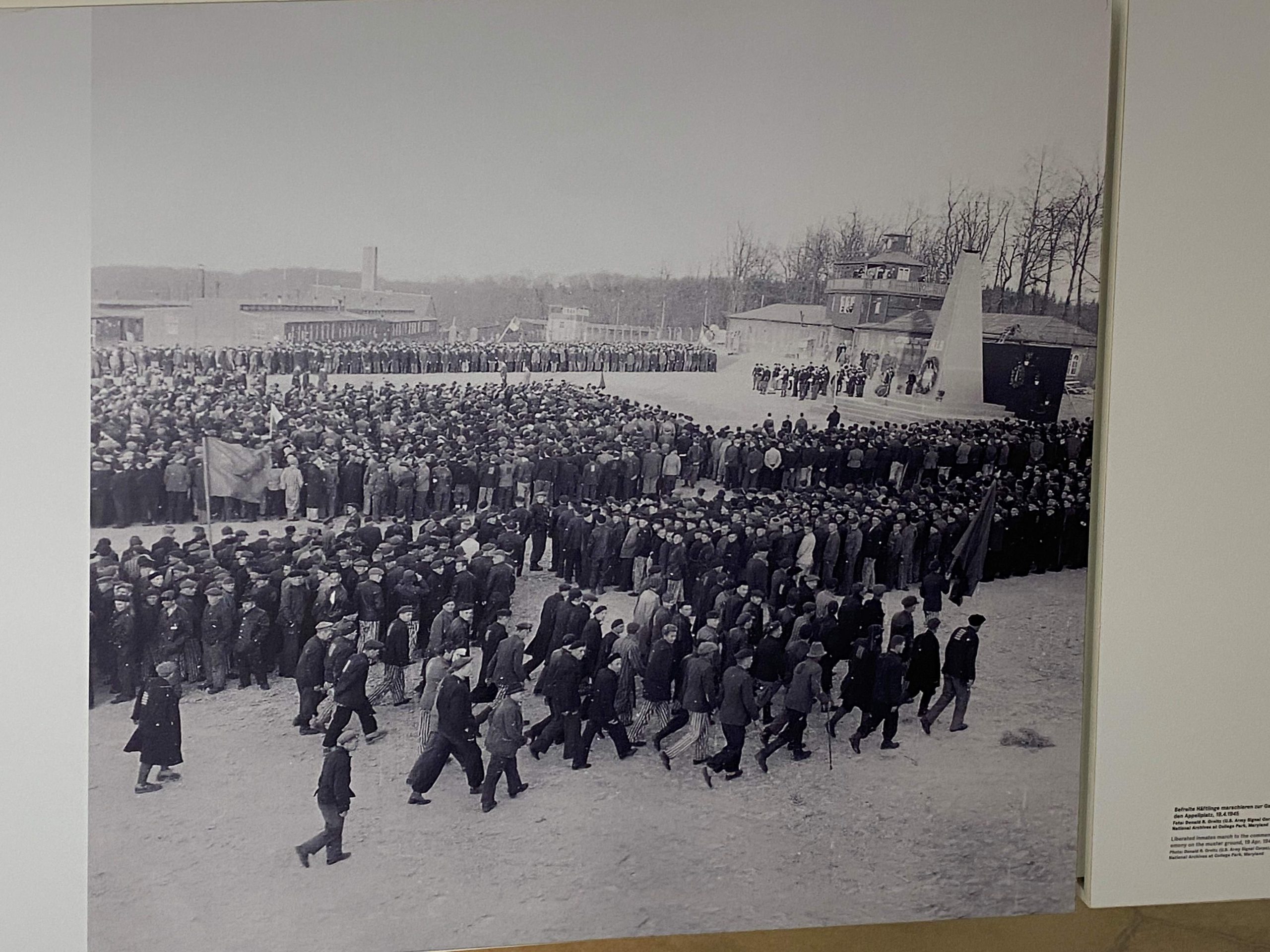 Buchenwald_12er_.jpg