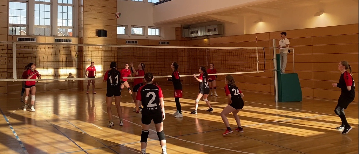 WK1 Damen web